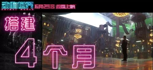 最新国产福利视频