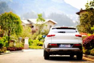 国产自在,探寻中国本土文化的独特魅力